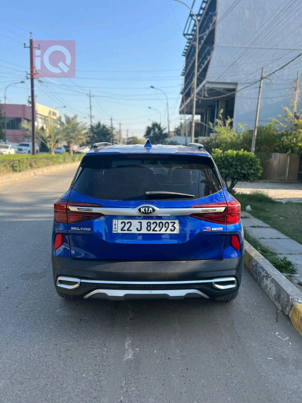 کیا سێلتۆس